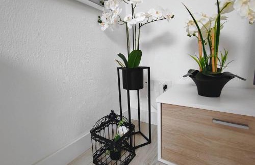 Lugo Apartment | Ático 32