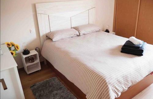 Casco Antiguo Apartment | Ático Guara&Pirineos