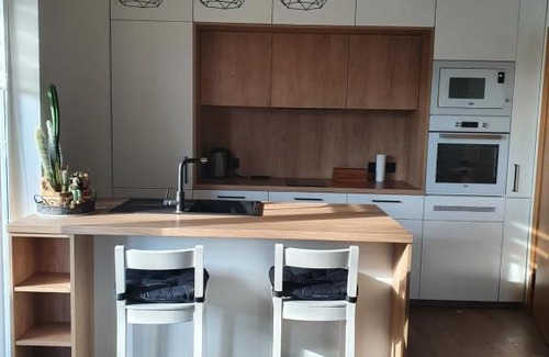 Vilnius city municipality Apartment | Žvėrynas Workation apartments