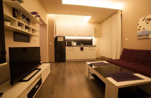 Pleven Apartment | Апартамент ЕЛИ