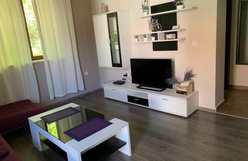 Pleven Apartment | Апартамент ЕЛИ