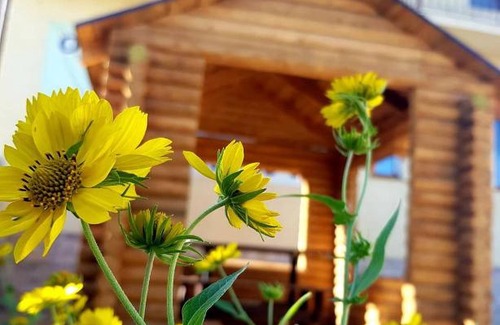 Bilhorod-Dnistrovskyi Hotel | Барокко