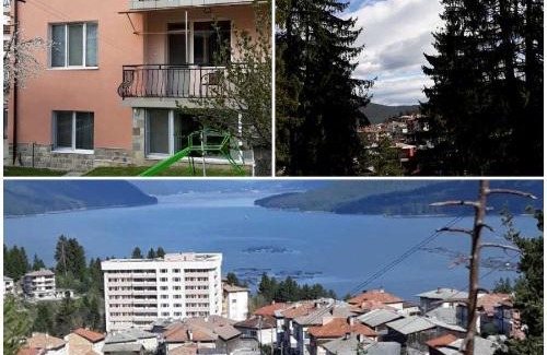 Dospat House | Вила Багрянови