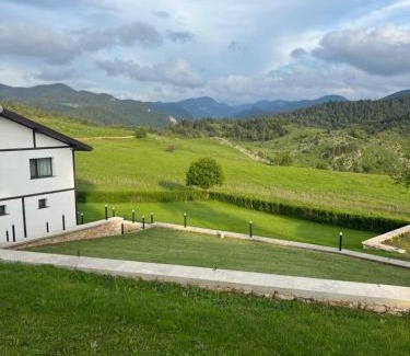 Borino Villa | Вила ИГЛИКА