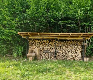 Turya Paseka House | Дом у озера