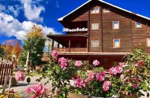 Yasinya Hotel | Едельвейс-Будапешт