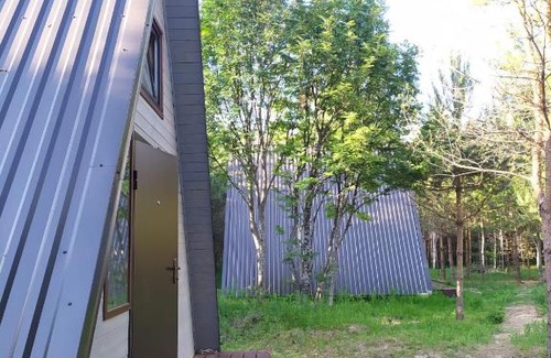 Nerl' House | Избушка в лесу