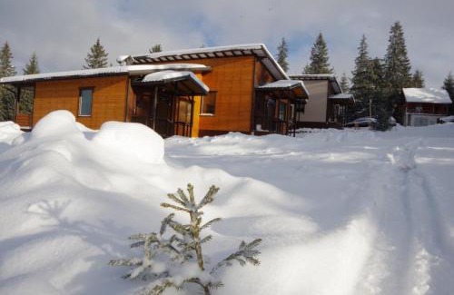 Yablunytsya House | Коттедж для отдыха Дискавери