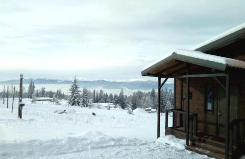 Yablunytsya House | Коттедж для отдыха Дискавери