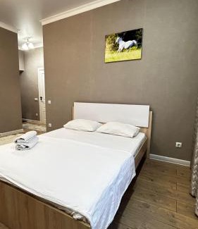 Nur-Sultan Apartment | Красивые Апартаменты в ЖК Аркада