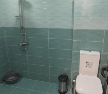 Devin Apartment | Къща за гости АСЯ