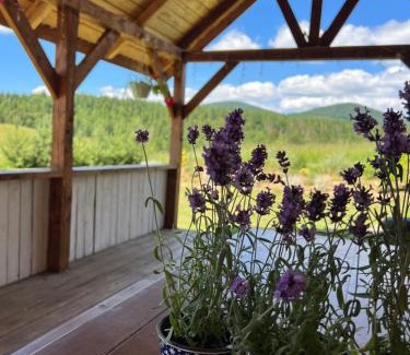 Plavya House | Омріяні Карпати