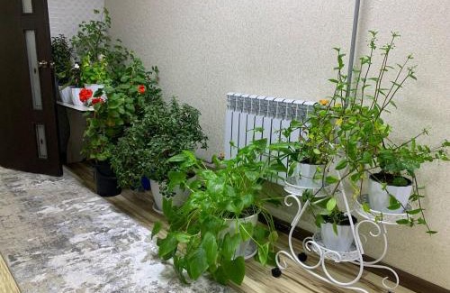 Osh Region Apartment | Омурбек