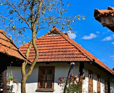 Vyzhnytsya House | Садиба Гардига