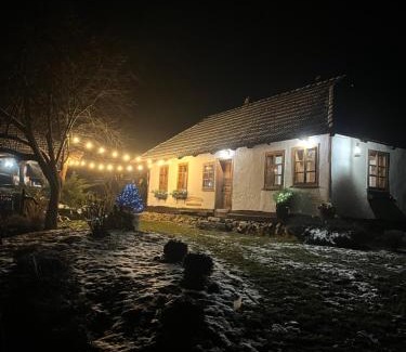 Vyzhnytsya House | Садиба Гардига