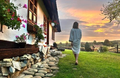 Vyzhnytsya House | Садиба Гардига