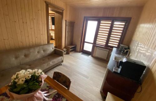 Holubyne Apartment | Садиба У Дохтора Відпочинок у Карпатах