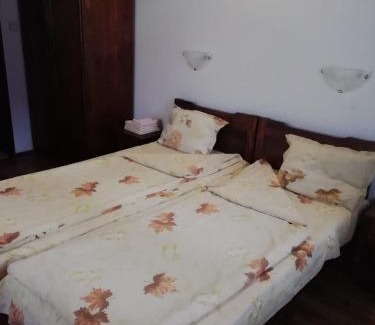 Ribaritsa Hotel | ХАН КОСТИНА - HAN KOSTINA