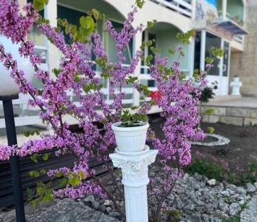 Balchik Hotel | Хотел Диамант Hotel Diamond