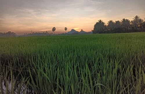 Cha-am House | สุขเสมอ โฮมสเตย์ (Suk-Samer homestay)