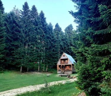 Ambrolauri Ski Chalet | ხის სახლი