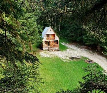 Ambrolauri Ski Chalet | ხის სახლი