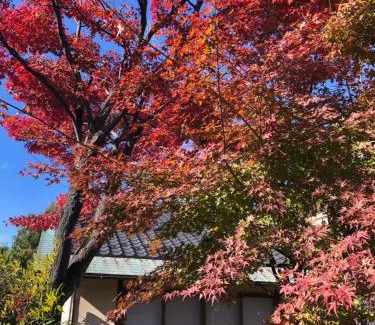 Isawa Onsen House | フクロウの御宿 石和館