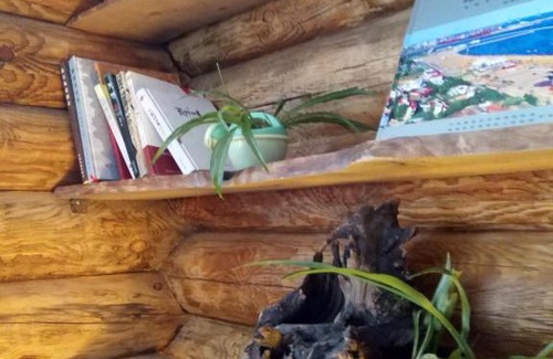 Beidaihe Villa | 北戴河海边森林木屋别墅