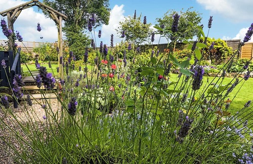 Balfron Cottage | 1 bedroom accommodation in Balfron, near Drymen Loch Lomond & The Trossachs