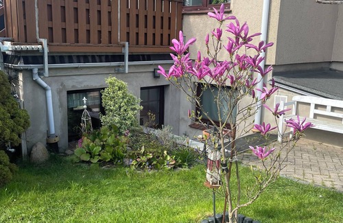 Zierow Apartment | 1 Bedroom Apartment in Zierow