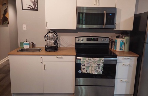 Simpsonville House | 1 bedroom basement apartment w/washer, Wifi, heating