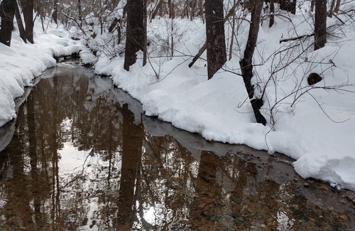 Groom Creek Cabin | 10 min from downtown Prescott. touch point cleaning provided these times