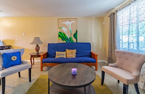 University Apartment | 10 minutes to Busch Gardens and USF. Family sized space with backyard and grill.