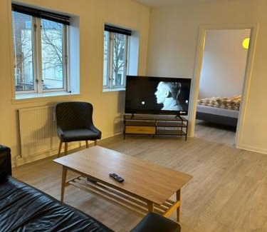 Vejle Apartment | 11F 1 tv Højbanetorvet