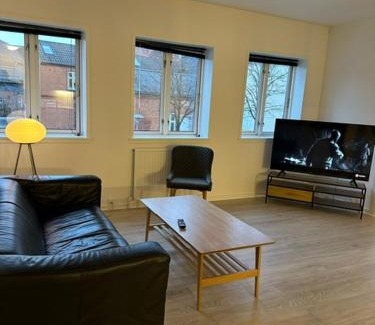 Vejle Apartment | 11F 1 tv Højbanetorvet