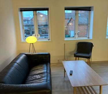 Vejle Apartment | 11F 1 tv Højbanetorvet