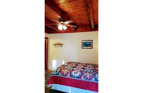 Y Area Apartment | 14-The Curious Cub pet friendly studio #14