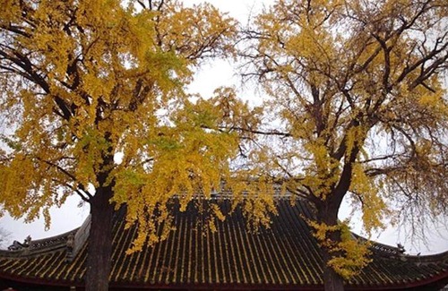 Suzhou Old Town Hostel | 18 m² Hostel ∙ 4 guests