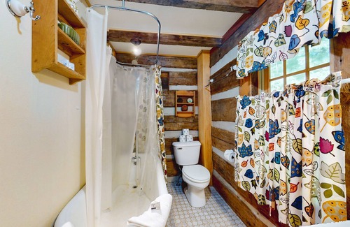 Lake Junaluska Cabin | 1800s dog-friendly cabin in Waynesville with shared amenities