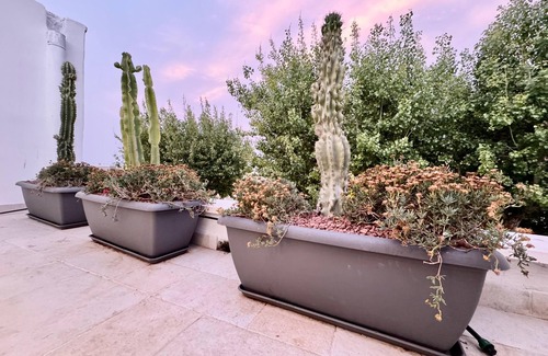 Municipio 1 House | 18zero2 Luxury RoomsnStella verde