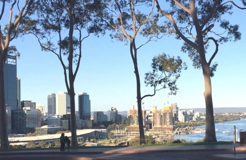West Perth Apartment | 1bedroom extremely spacious 5*location kings park apartment. walk to CBD
