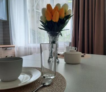 Uralsk Apartment | 2-х комнатная Квартира