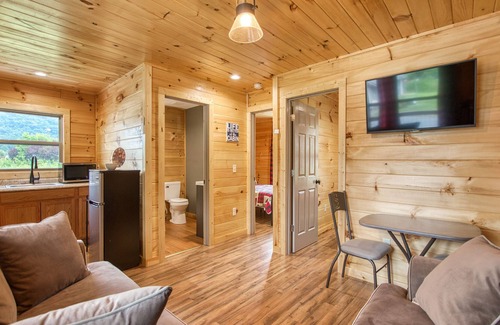 Waynesville Cabin | 2 BD1 BA Efficiency Cabin Views Easy Paved Access Cable WIFI Close to Town