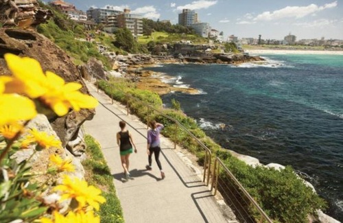 Woollahra Apartment | 2 Bdrm Art Deco Apt, Stroll To Bondi Junction