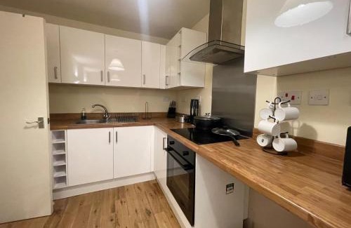 East Walworth Apartment | 2 Bed Apartment Tower Bridge Big Ben The Shard