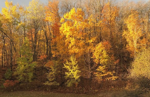 Boyne Falls Resort | 💕🌼🌸 2 bedroom 2 bath suite at Boyne Mountain 2 nights.