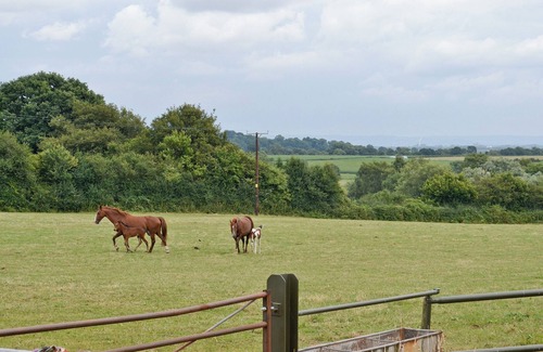 Lydney Cottage | 2 bedroom accommodation in Woolaston, near Lydney