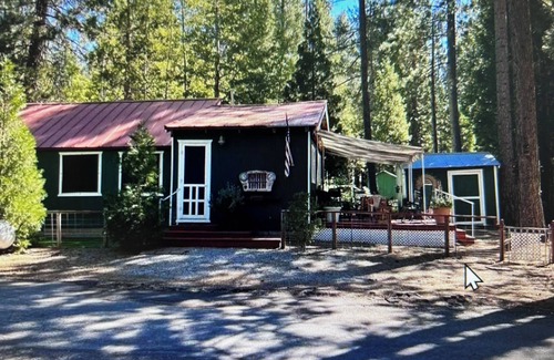 Mineral Cabin | 2 bedroom cabin in mineral