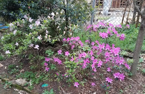 Carrollton House | 2 bedroom house near Tulane