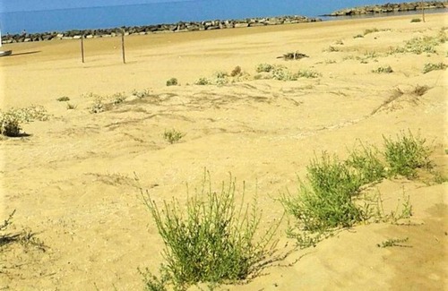 Donnalucata House | 2 bedrooms house at Scicli 150 m away from the beach with furnished terrace and wifi